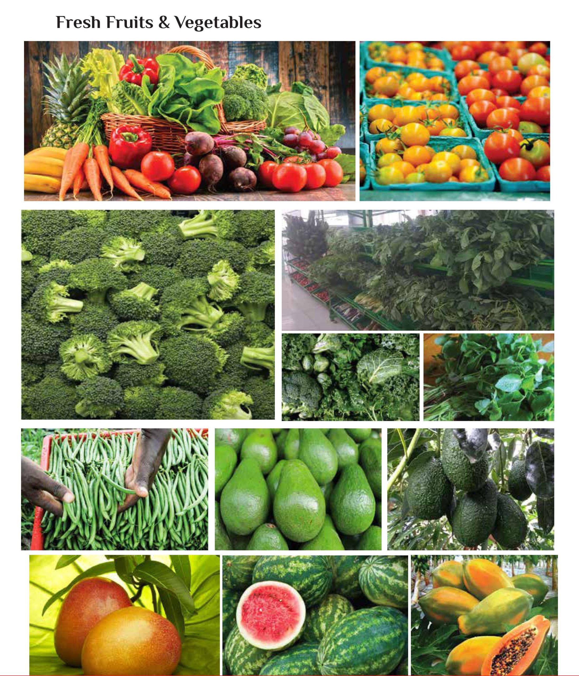Roxie Farms Kenya Ltd